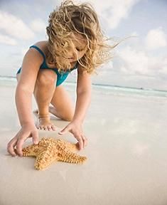 Museum of Coastal Carolina Summer Schedule