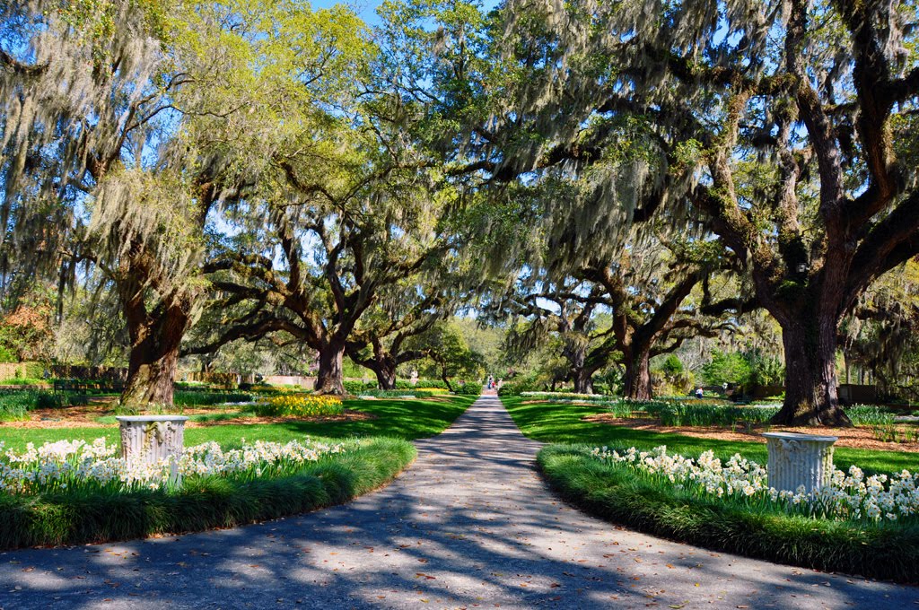 Brookgreen Gardens Vacation Activity Guide