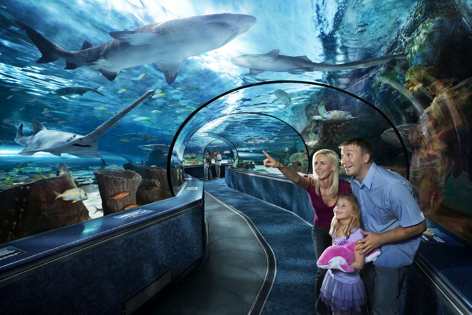 Ripley's Aquarium Vacation Activity Guide