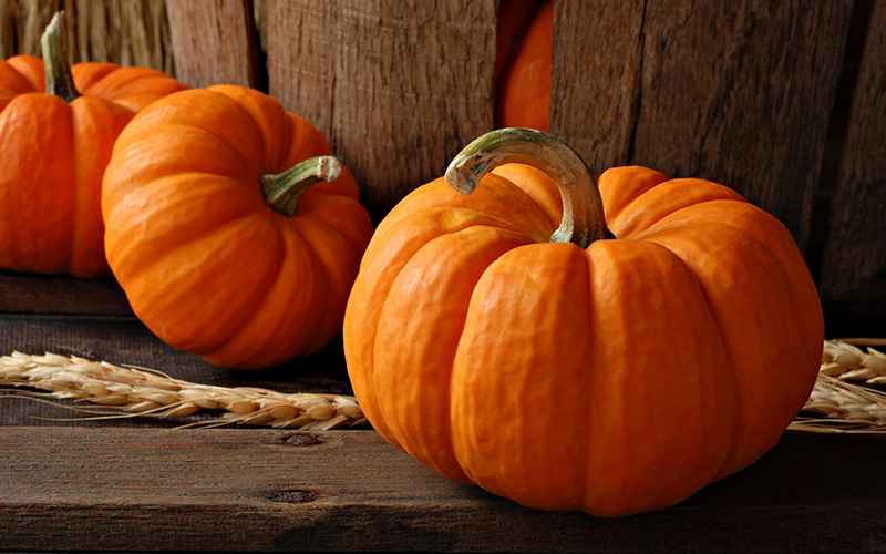 Shallotte Harvest Market and Pumpkin Fest